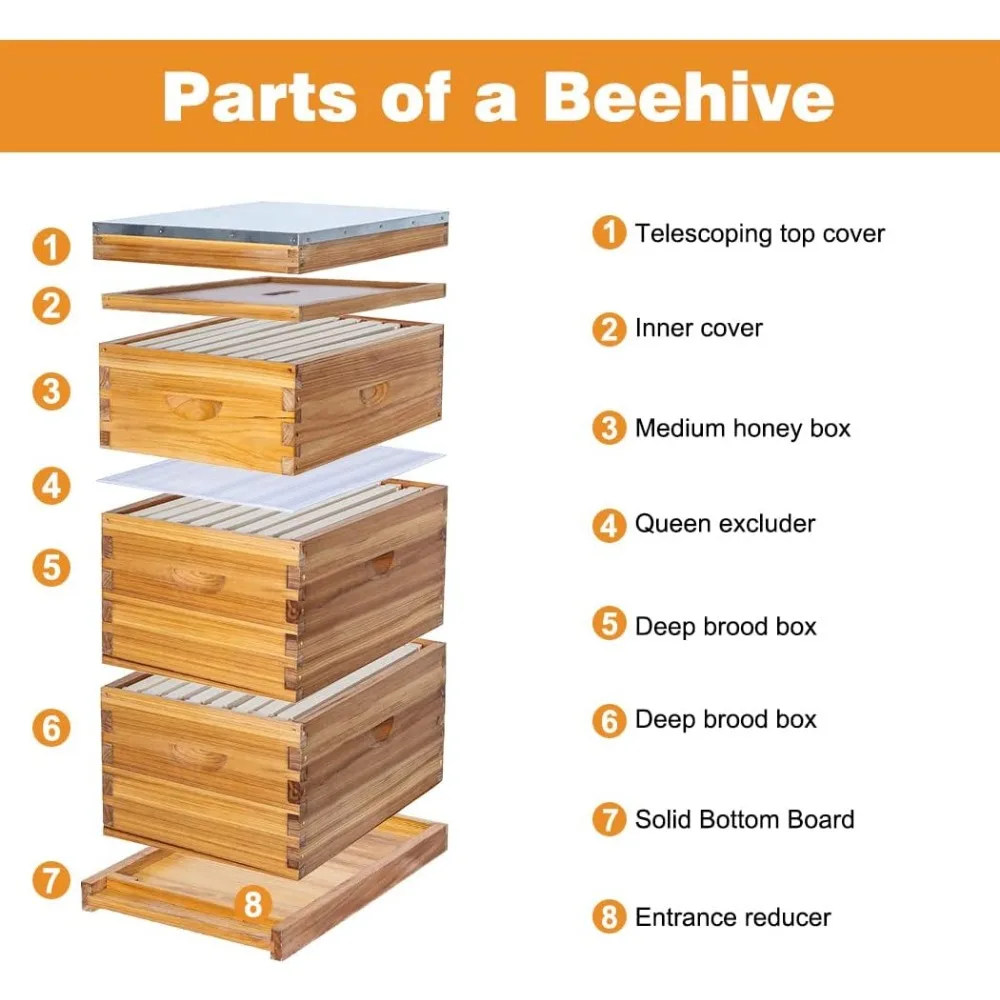 8 Frame Bee Hive Beeswax Coated Complete Beehive Kit Include Frames and Foundation Sheet for Beekeeping Supplies