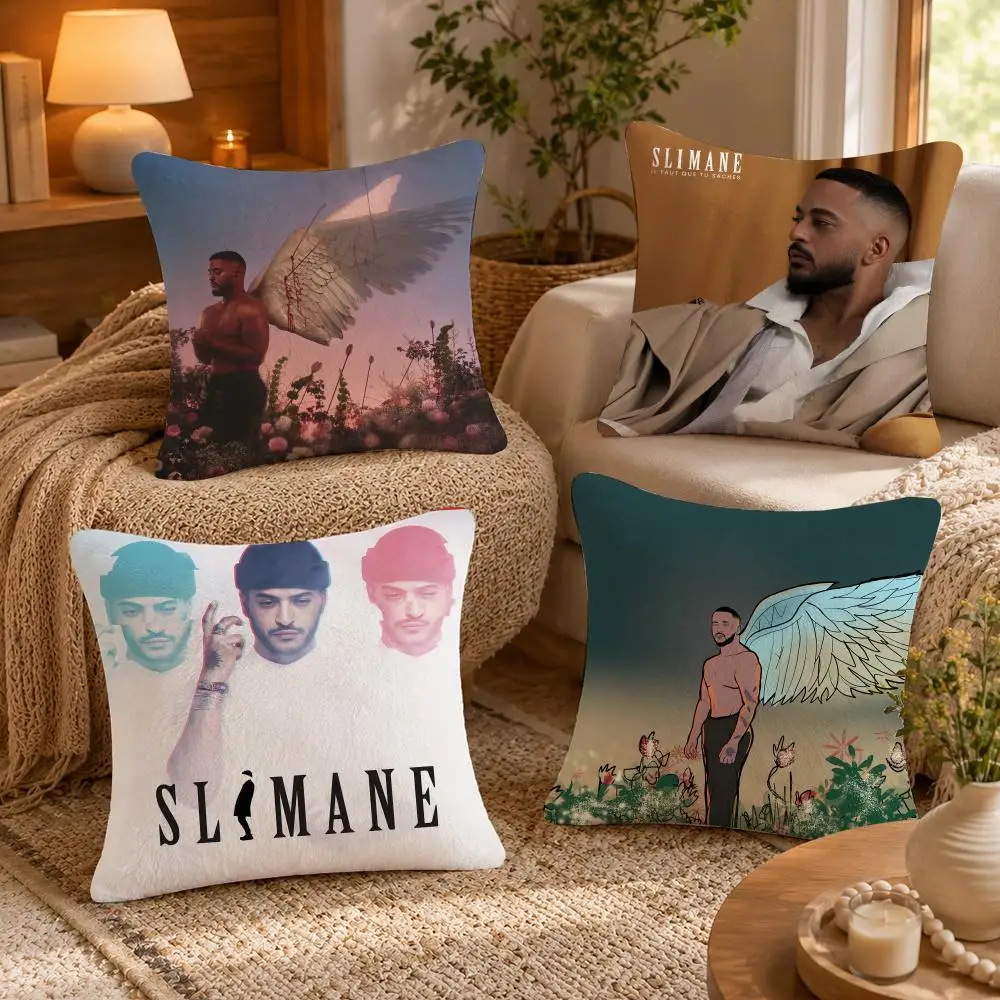 Singer S-Slimane France Cushion Cover Soft Short Plush Pillow Case Double Sided Print Washable Sofa Bed Home Decor Gift
