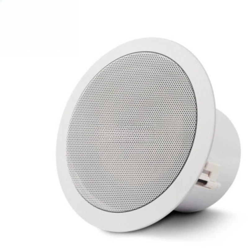 BX-308 Ceiling Spea…