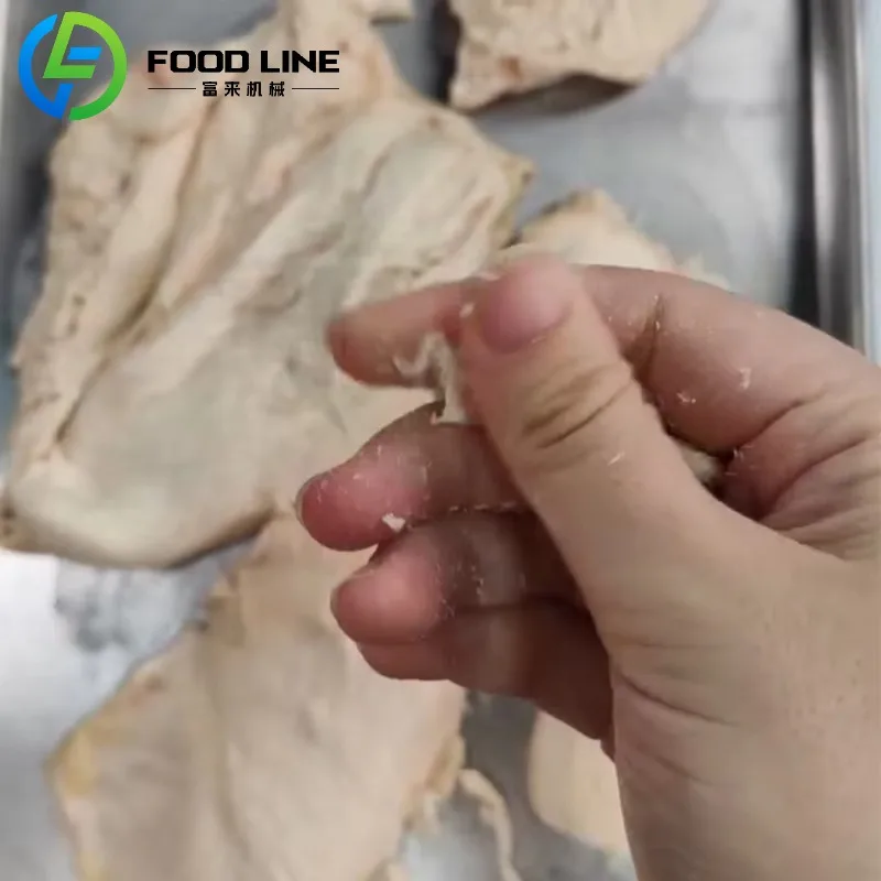 تجميد تجفيف صغير صغير المنزل Lyophilizer فراغ آلة تجفيف بالتجميد للأغذية حلوى الفواكه المشروب البارد القهوة الحليب الزهور