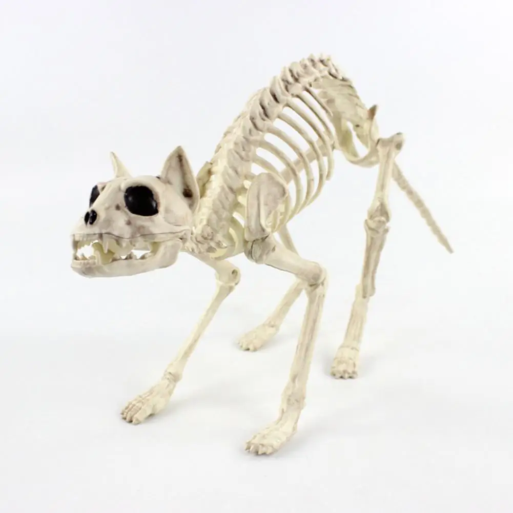 Halloween Cat Skeleton Decoration Spooky Halloween Skeleton Decor Set Mini Poseable Bone Statues Dog Cat Rat Spider for Indoor