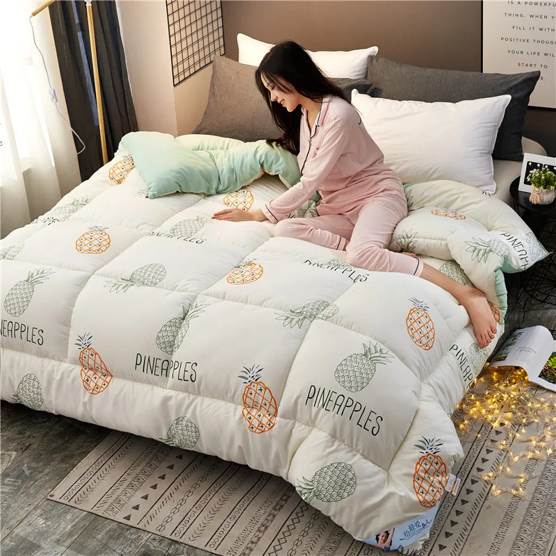 

Spring and autumn quilts thickened winter keep warm in autumn and winter, Single double student four seasons dormitory blanket