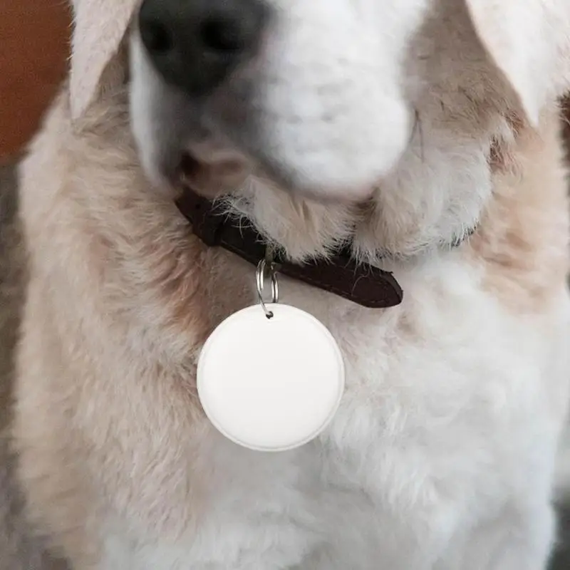 Traqueur d'animal de compagnie pour chats, suivi mobile, détecteur intelligent GPS, détecteur d'articles, portable, mini appareil anti-perte intelligent