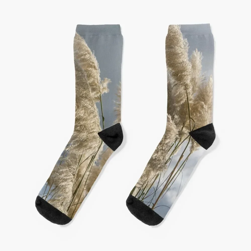 

Pampas Grass Socks happy luxury Men's Socks Luxury Women's