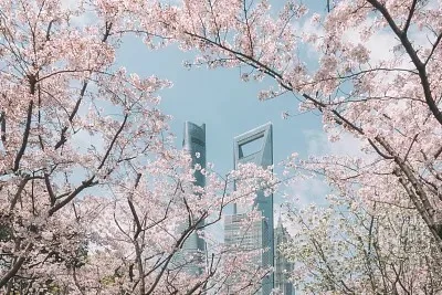 

4Pcs 50mm Rubber Tire Tyre Wheel For SG1603 SG1604 SG1605 UDIRC UD1601 UD1602 UD1603 UD1604 1/16 RC Car Upgrade Parts