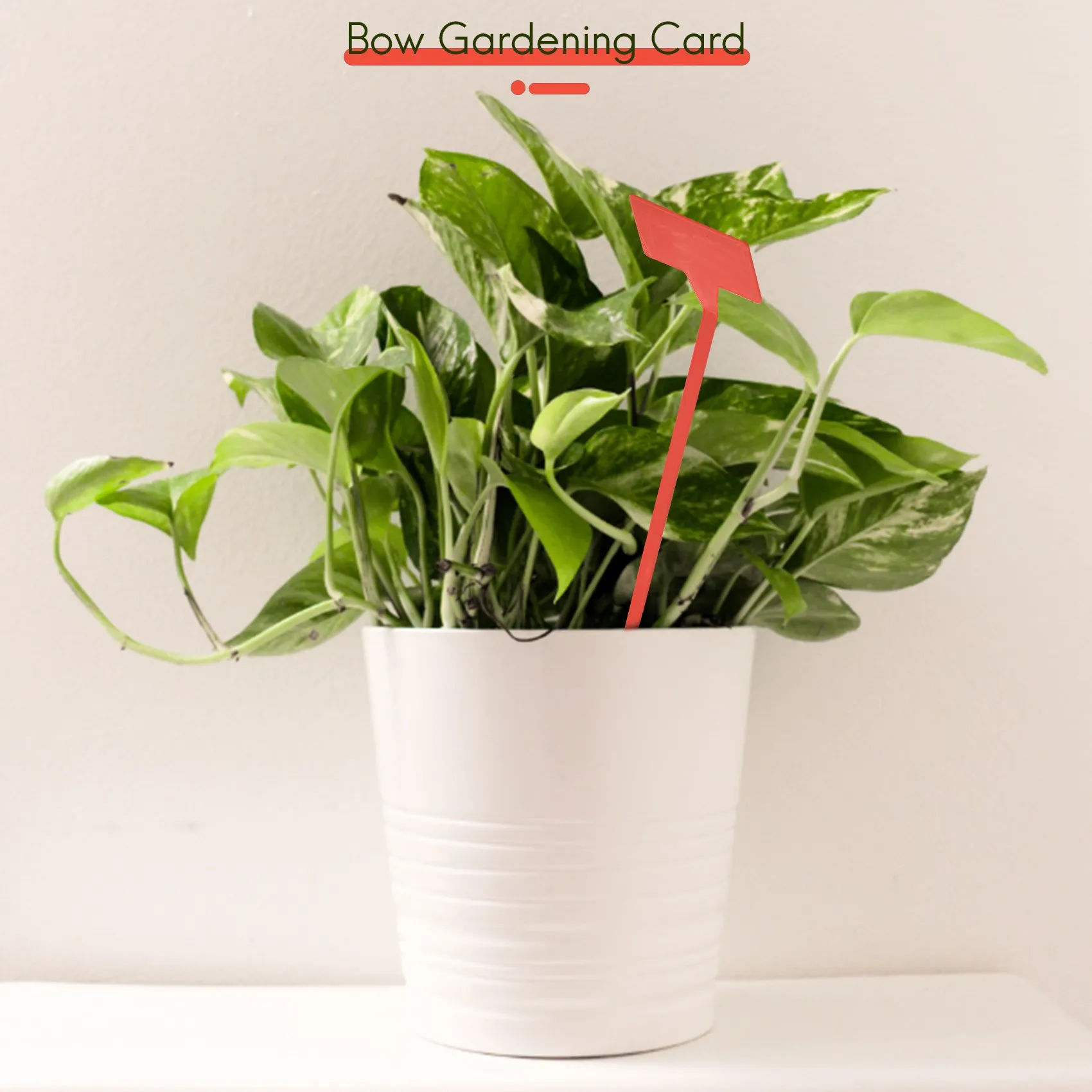 ABWZ-Gardens Planting Tools 50 Pcs Bonsai Plastic Plant Labels Garden Labels T-Type Upturned Garden Tags Markers Nursery Upturne