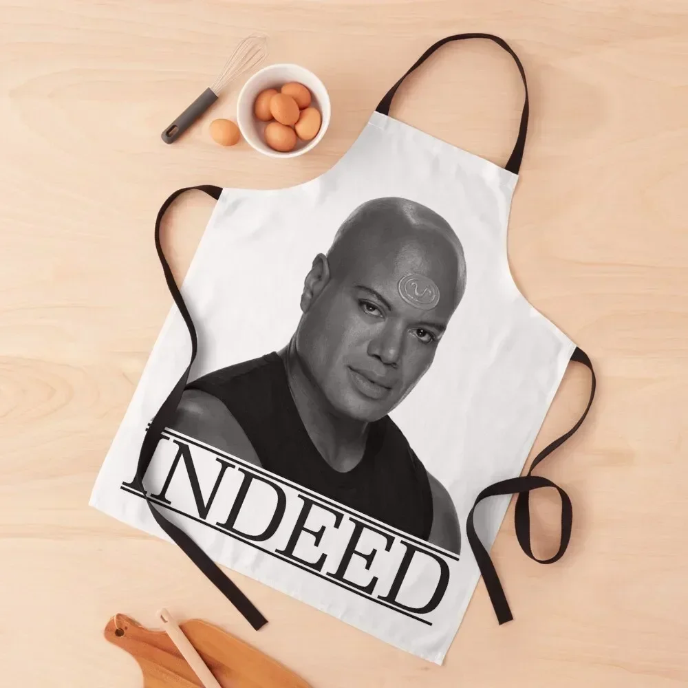 

Indeed Apron Kitchen For Men women's kitchens For Women Kitchen For Kitchen Apron