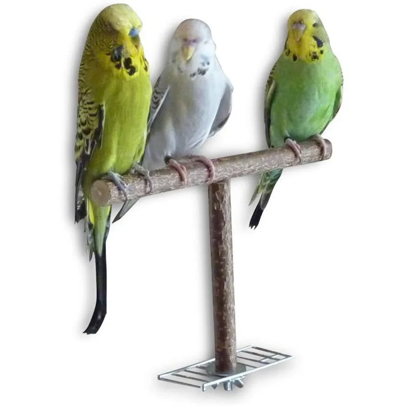 Parrot T-shaped Swing Frame Bird Toys Pine Parrots Swing Hanging Rack Secure Parrot Toy Pet Supplies Bird Accessories