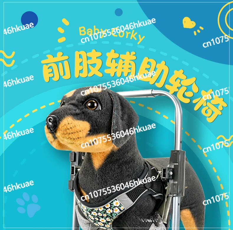 

Pet Forelimb Wheelchair, Small Four-wheel Wheelchair, Lightweight for Commuting, Dog Assisted Front Leg Disability