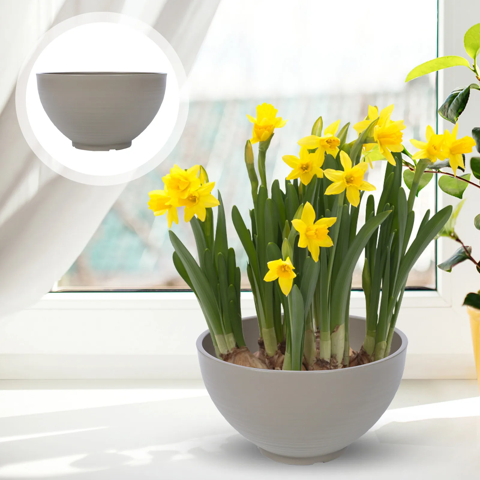 

1 шт. Глубокий гидропонный цветочный горшок с резервуаром для воды для нарциссов, водяных лилий, из полипропиленовой смолы, декоративный, для балкона и сада