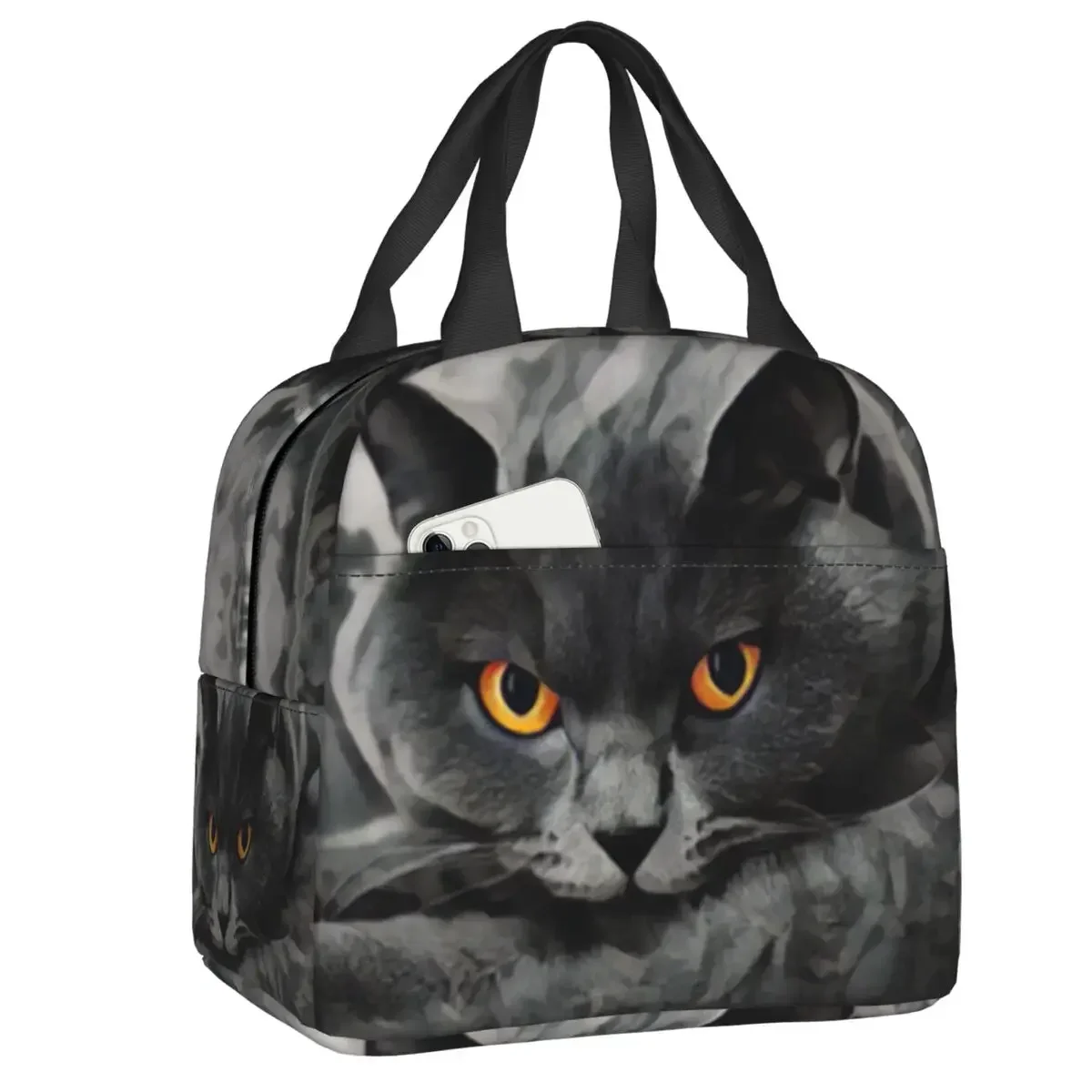 British Shorthair Cat Lun Box Warm Cooler Thermal Food Insulated  Bag for Women Sool Picnic Portable Tote Container