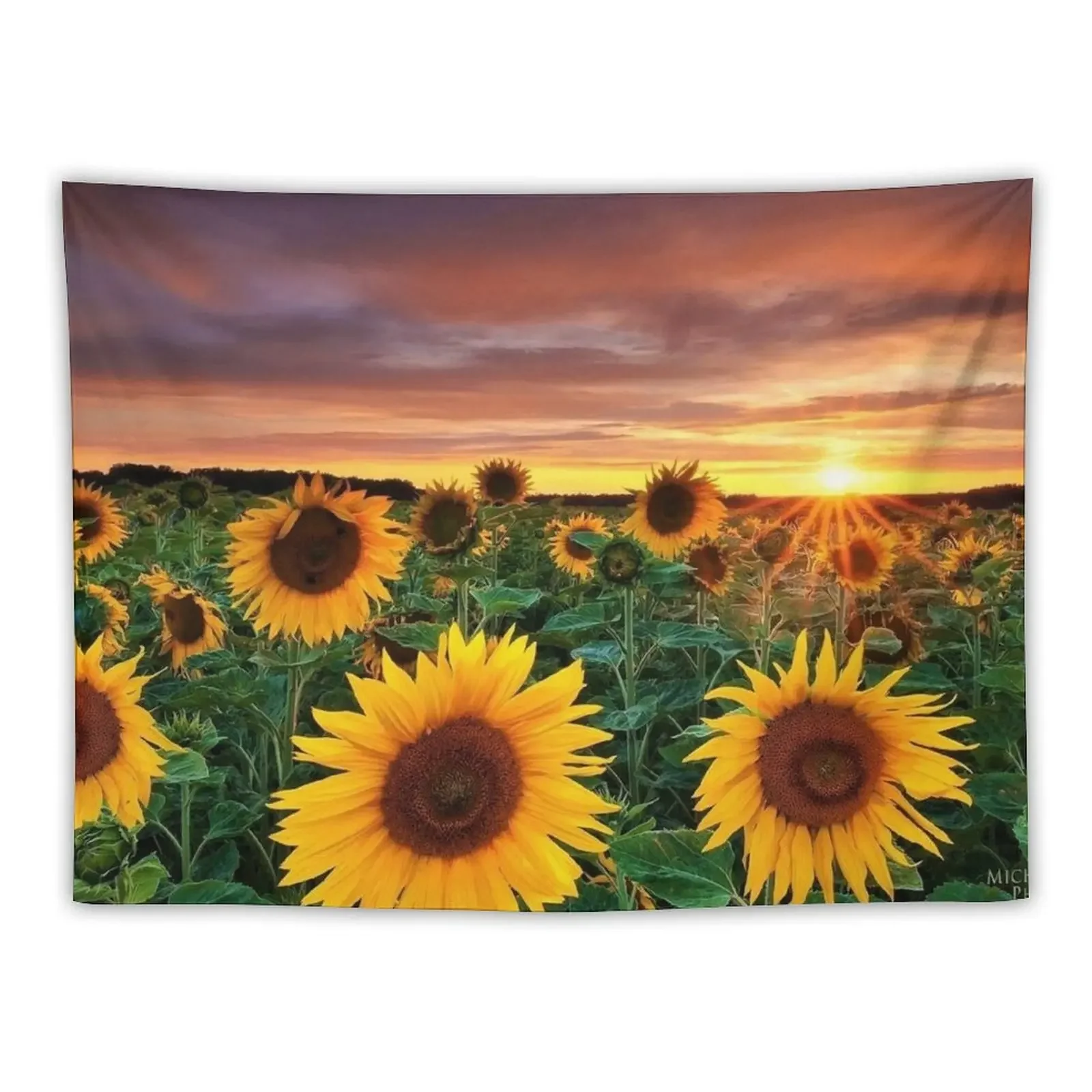 Sunflower field series #15 –Sunflower field sunset - by Jéanpaul Ferro Tapestry House Decor Tapestry