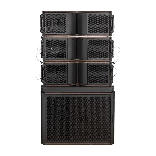 نظام الصوت الاحترافي النيوديميوم المغناطيسي 18 بوصة 700 واط مضخم الصوت خط مكبرات الصوت #2