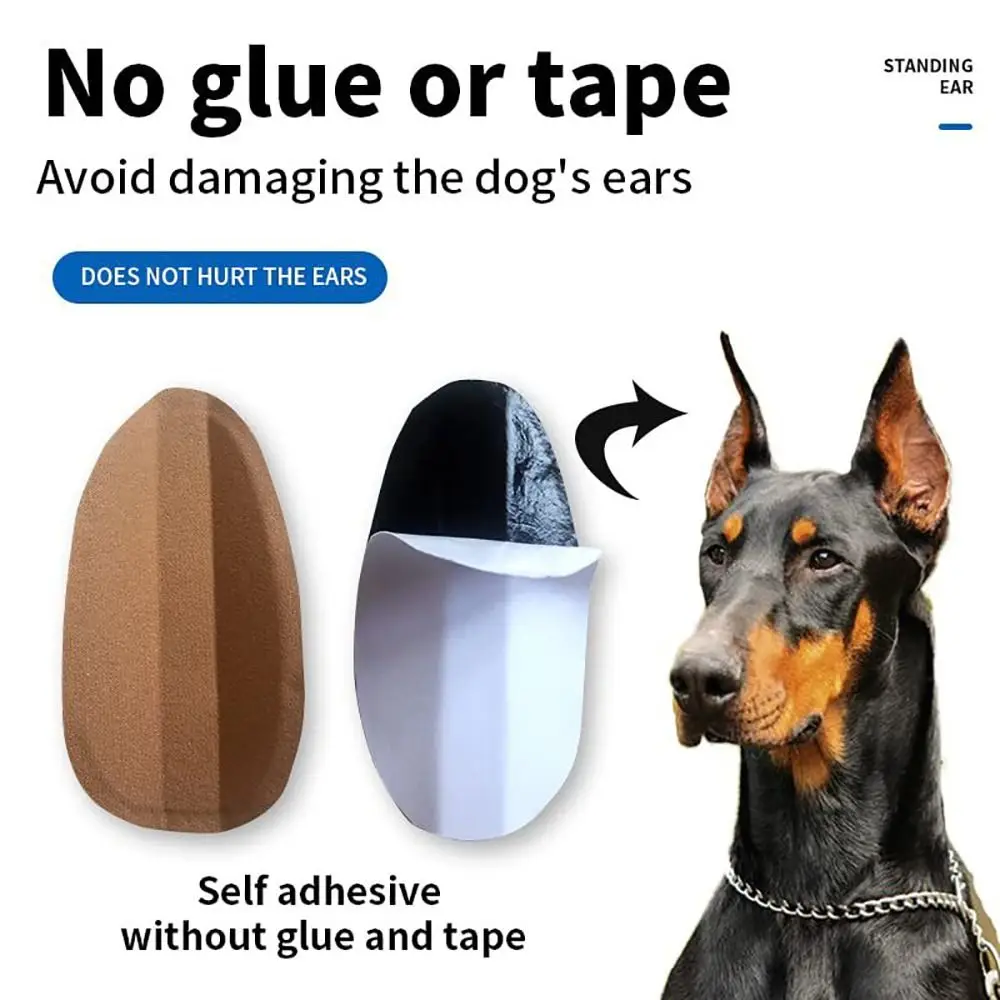 Pet Supplies Self Adhensive Anti allergy Ear Correction Ear Erection Dog Stand Ear Dog Ear Support
