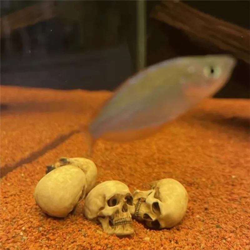 Figurki w skali 1:12, wysokiej jakości miniaturowe modele czaszek do dekoracji na Halloween, do domku dla lalek, roślin, akwariów - Y44A