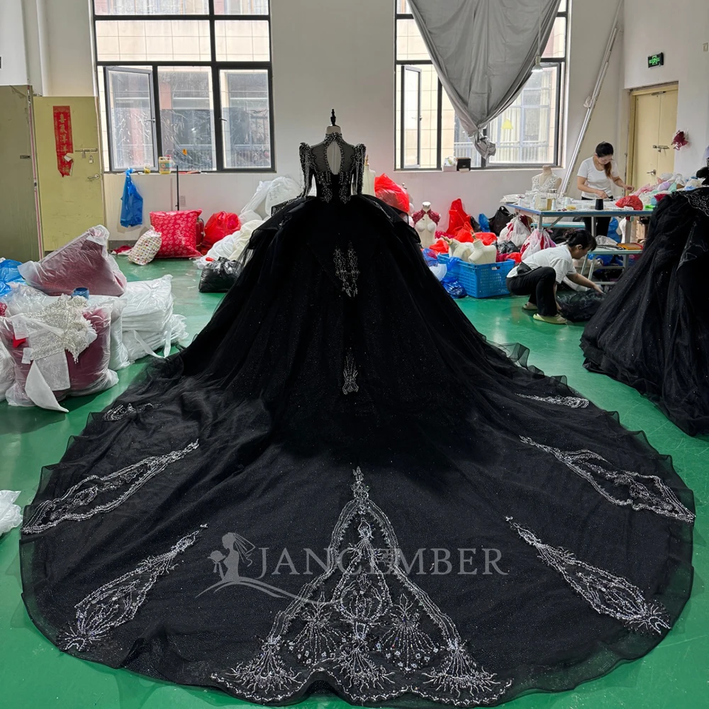 Elegant Long Sleeves Wedding Dresses Sexy Backless Lace Bridal Gowns Sparkly Sequins Tassel Beading Vestido De Novia Customized