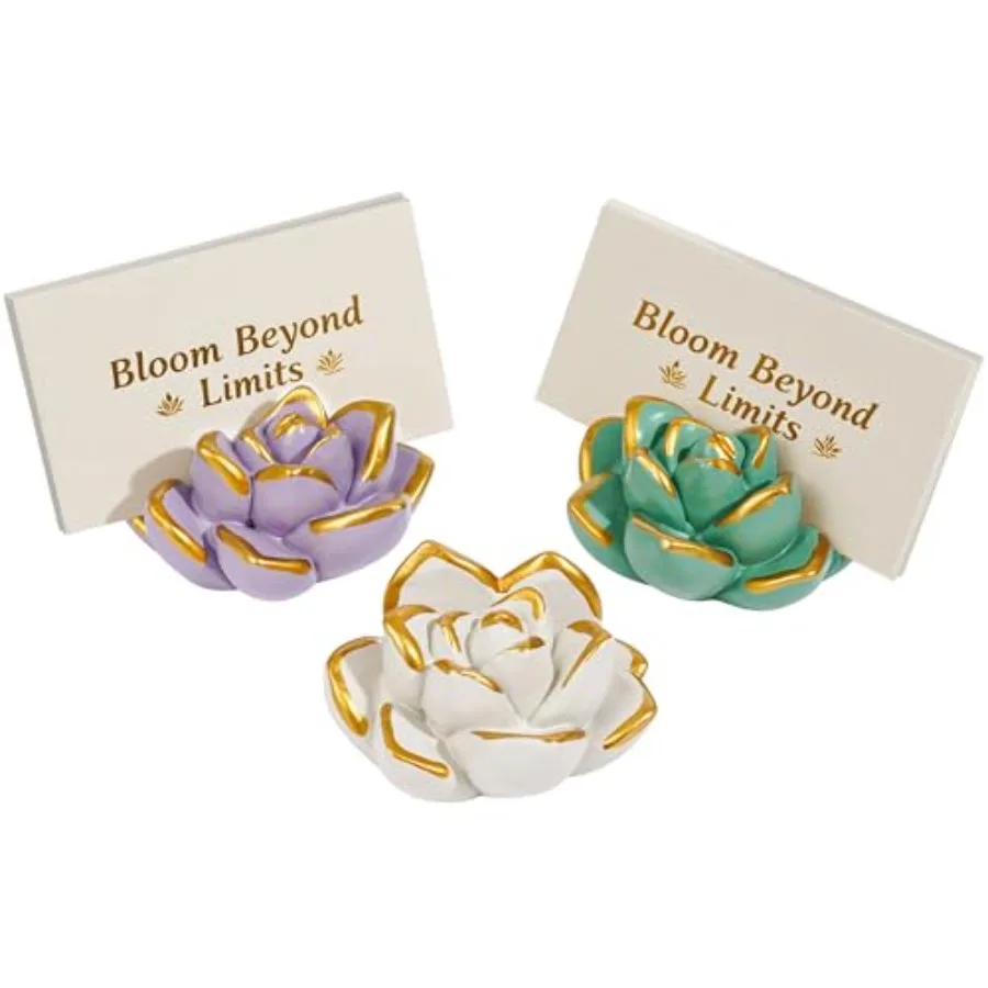 Resin Succulent Business Card Holder Set of 3 White/Purple/Green - Modern Desk Organizer for Office and Store, Vertical Name Ca