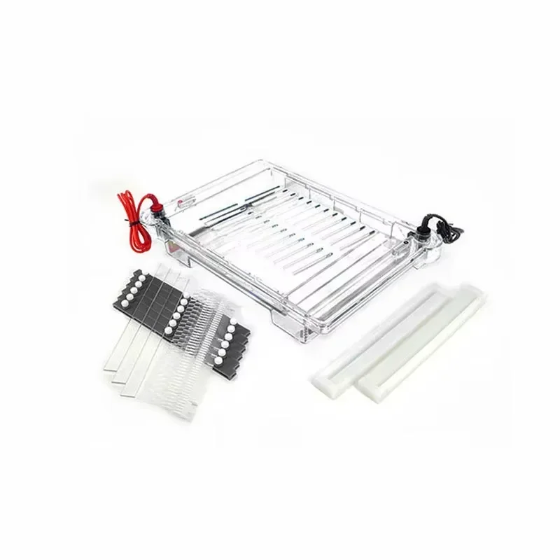 

Ячейка для горизонтального электрофореза с ядерной кислотой, большой аппарат для электрофореза агарозы DYCP-32C для подготовки ДНК, отдельная идентификация