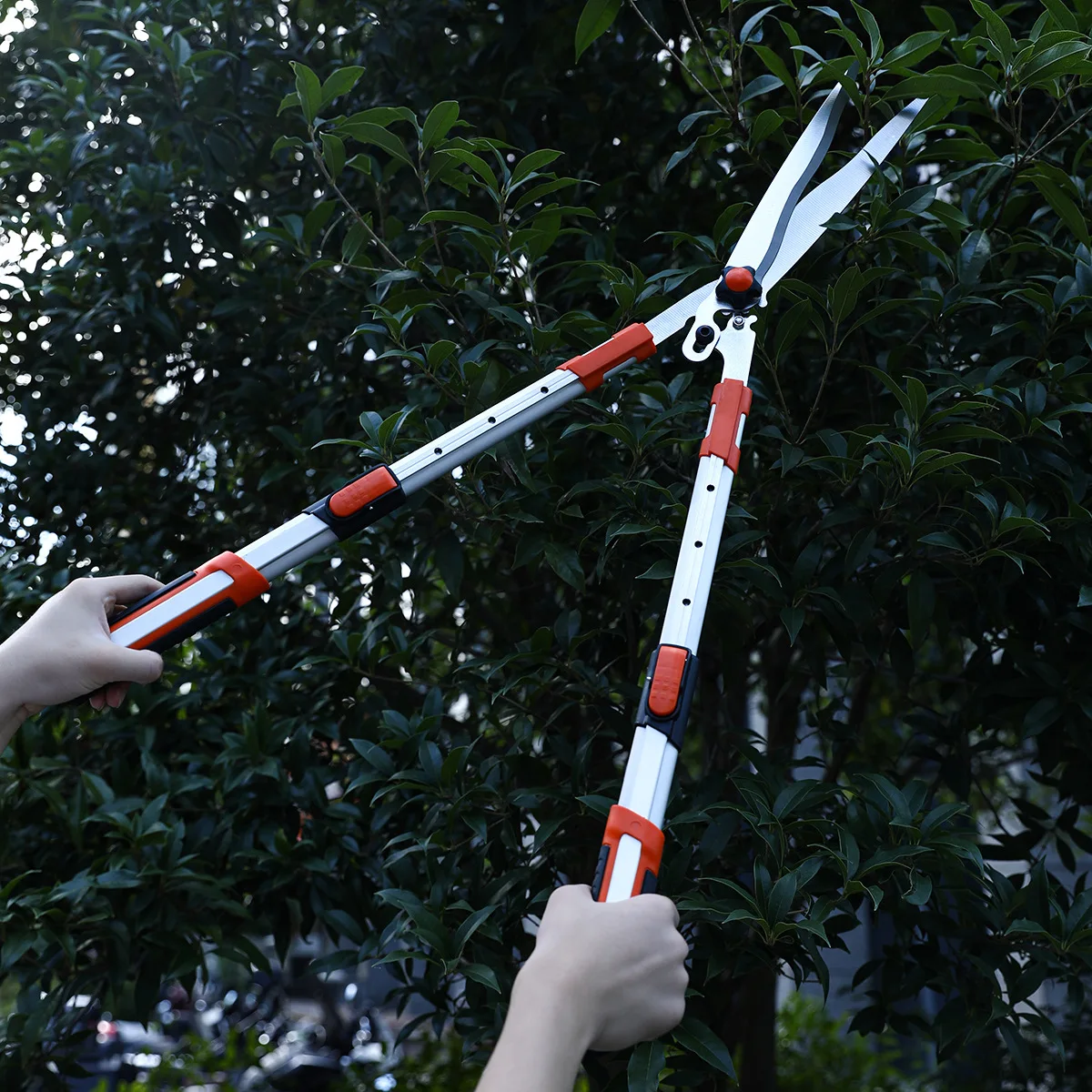 

Alloy steel gardening scissors a multifunctional tool suitable for pruning branches lawns greening and landscape beautification