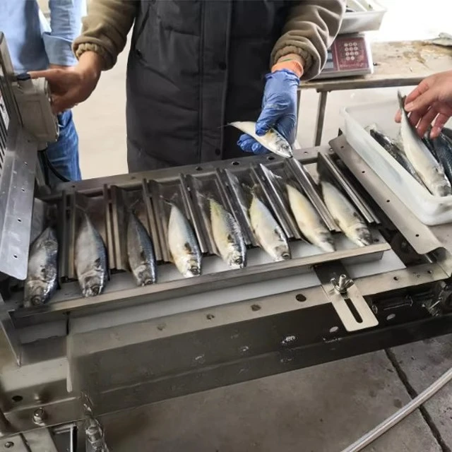 Sardine Fish Head Tail Cutting Machine Automatic Cutter For Fish Farm