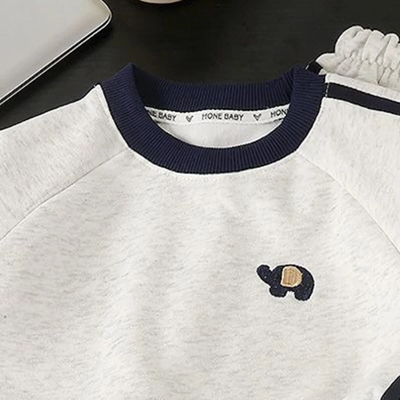 2026 Herbst Baby Jungen Mädchen Kleidungssets Kinder Cartoon Stickerei Sweatshirt Oberteile+Hosen 2-teiliger Kinder Langarm Freizeitanzug – Detail 9