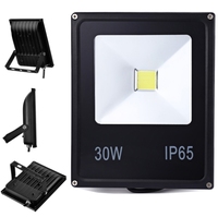 Floodlight Led RGB 10W 20W 30W 50W 220V 110V Waterproof Led Spotlight Outdoor Lighting Landscape Lighting With Remote Control