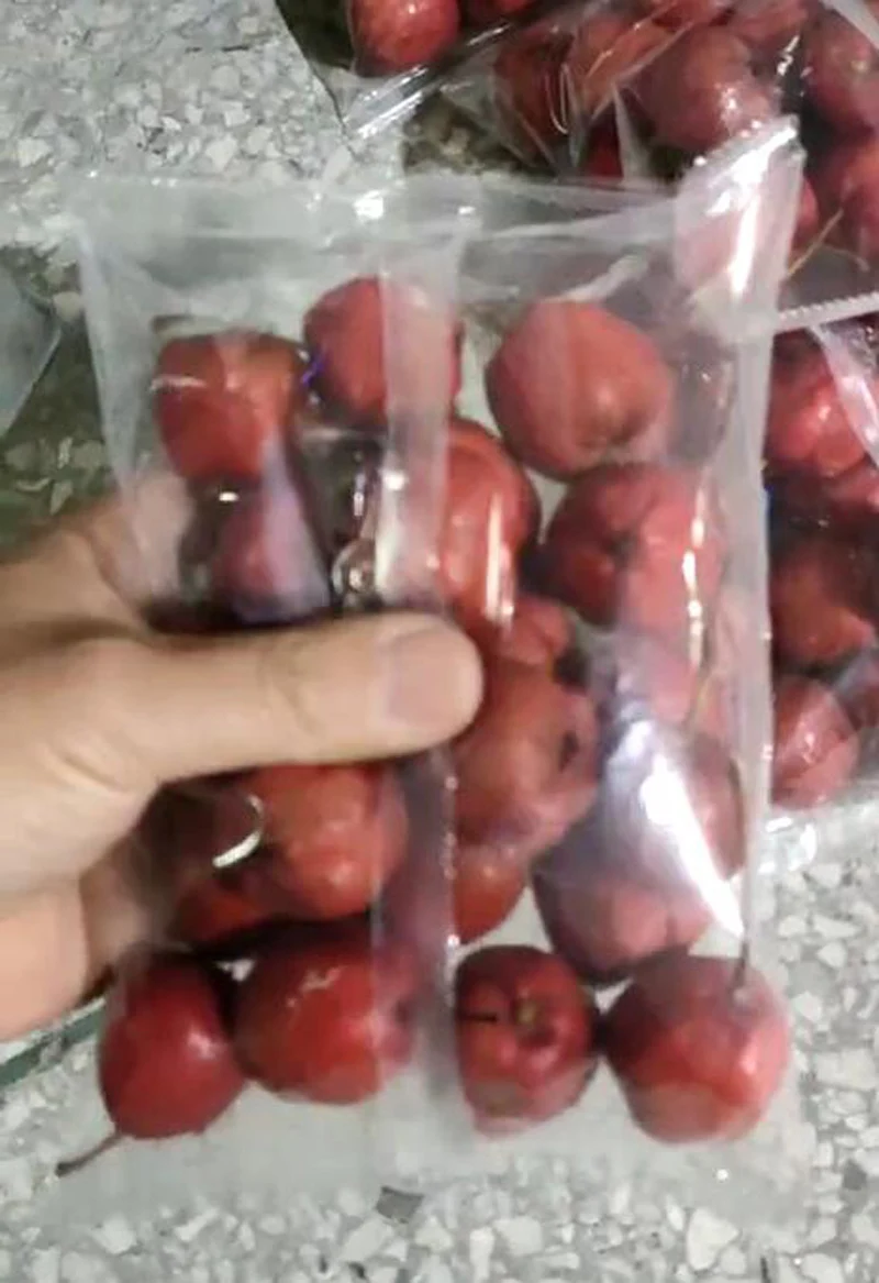 

20-500 г/50-1000 г Автоматическая упаковочная машина Пластиковый порошок для наполнения гранул Машина для упаковки пищевого чая