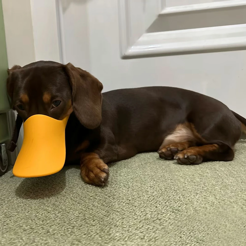 Bozal anti-ladridos de silicona para perros – Flexible y seguro - imagen 4