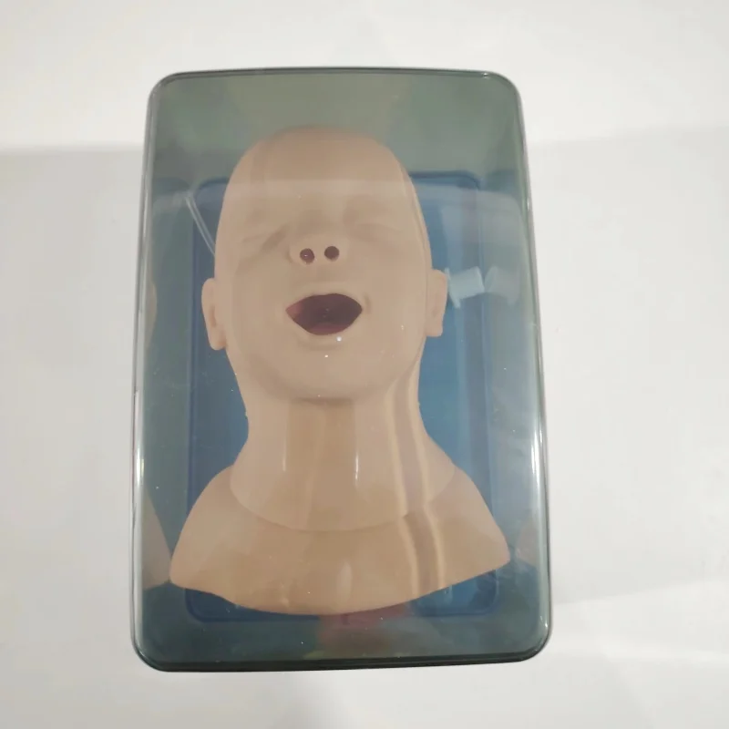 Advanced Durable PVC Infant Tracheal Intubation Model Medical Science Emergency Training Manikin High Standard Quality