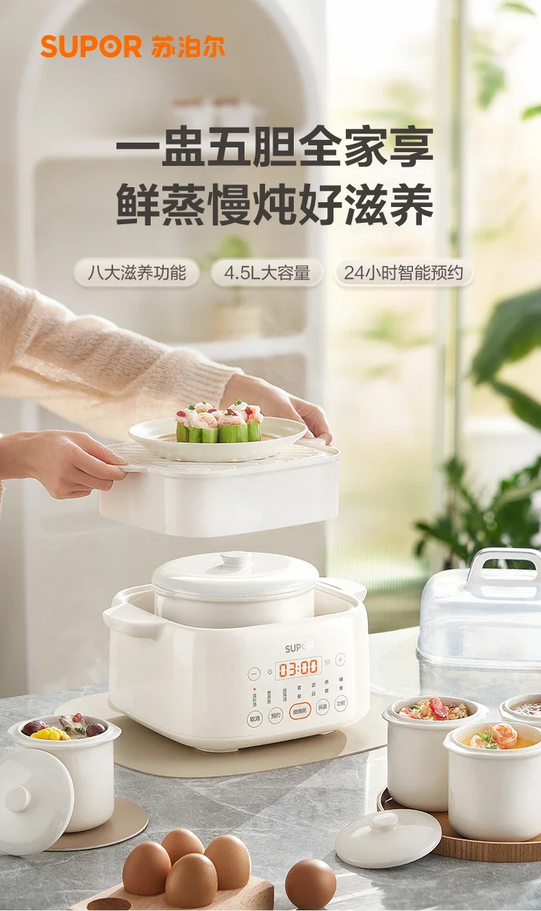 220V Versatile Electric Ceramic Stewpot for Soup, Bird's Nest and Congee