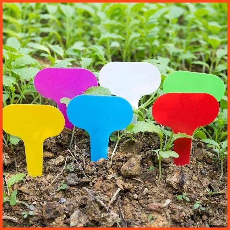 50/100PCS T-Type Plant Tag Waterproof Reusable Thick Quality Plastic Easy to Clean Durable Gardening Label