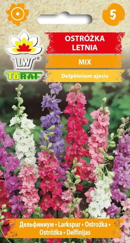 Sp (mélange de graines de fleurs d'été pour fleurs de terrasse de maison et de jardin