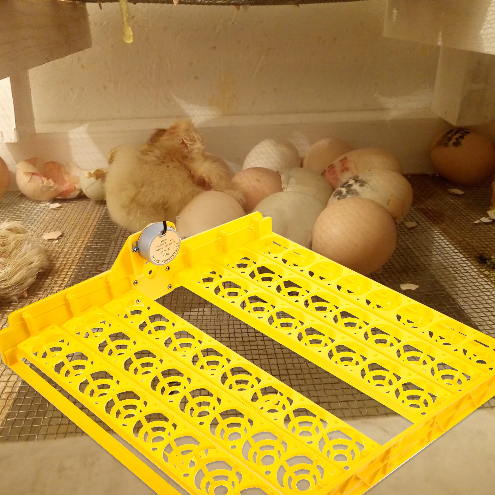 

Incubator Accessories Chicken Egg Holder Multifunction Plastic Automatic Turner