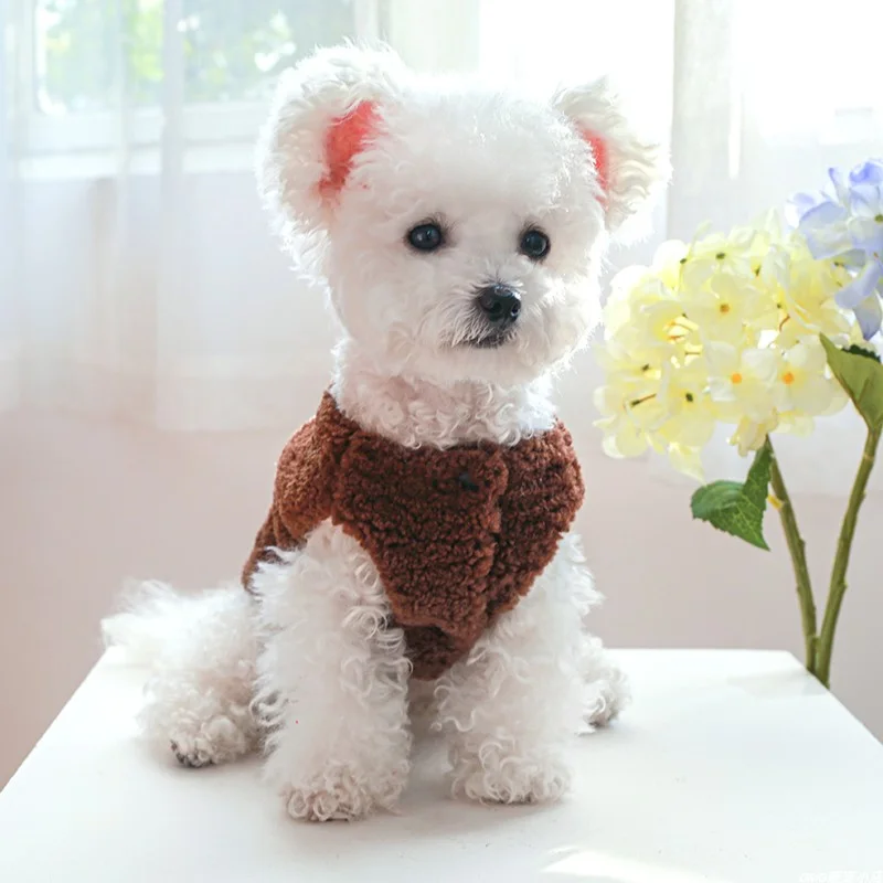 1PC pet clothing autumn and winter thickened brown bear hugging vest jacket suitable for small and medium-sized dogs