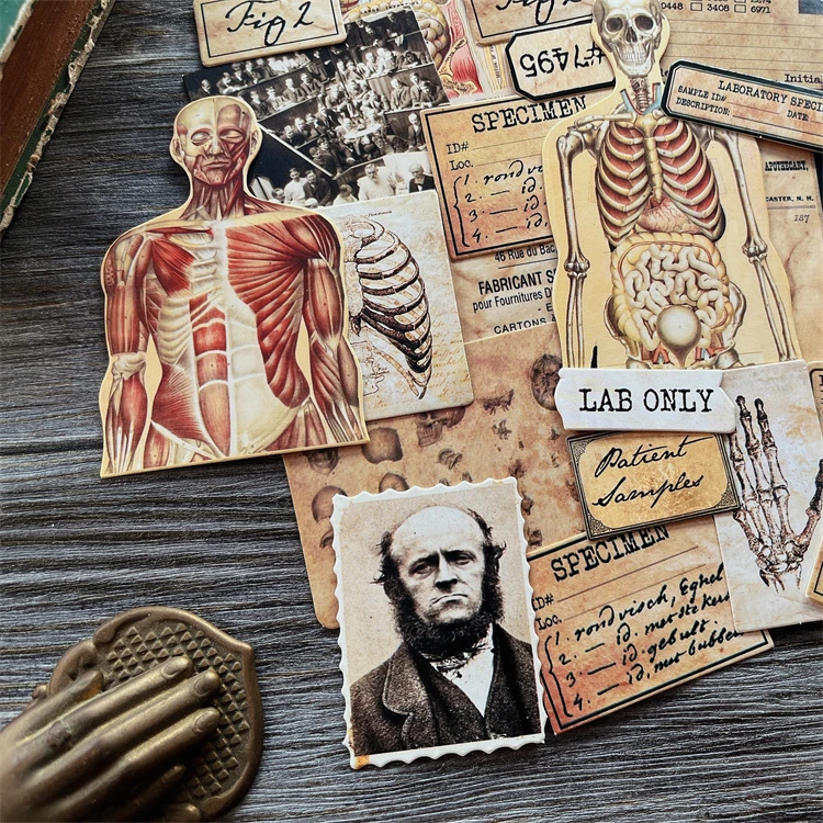 43Pcs/Pack Vintage Photo Human Anatomy Room Sticker DIY Craft Scrapbooking Album Junk Journal Decorative Stickers