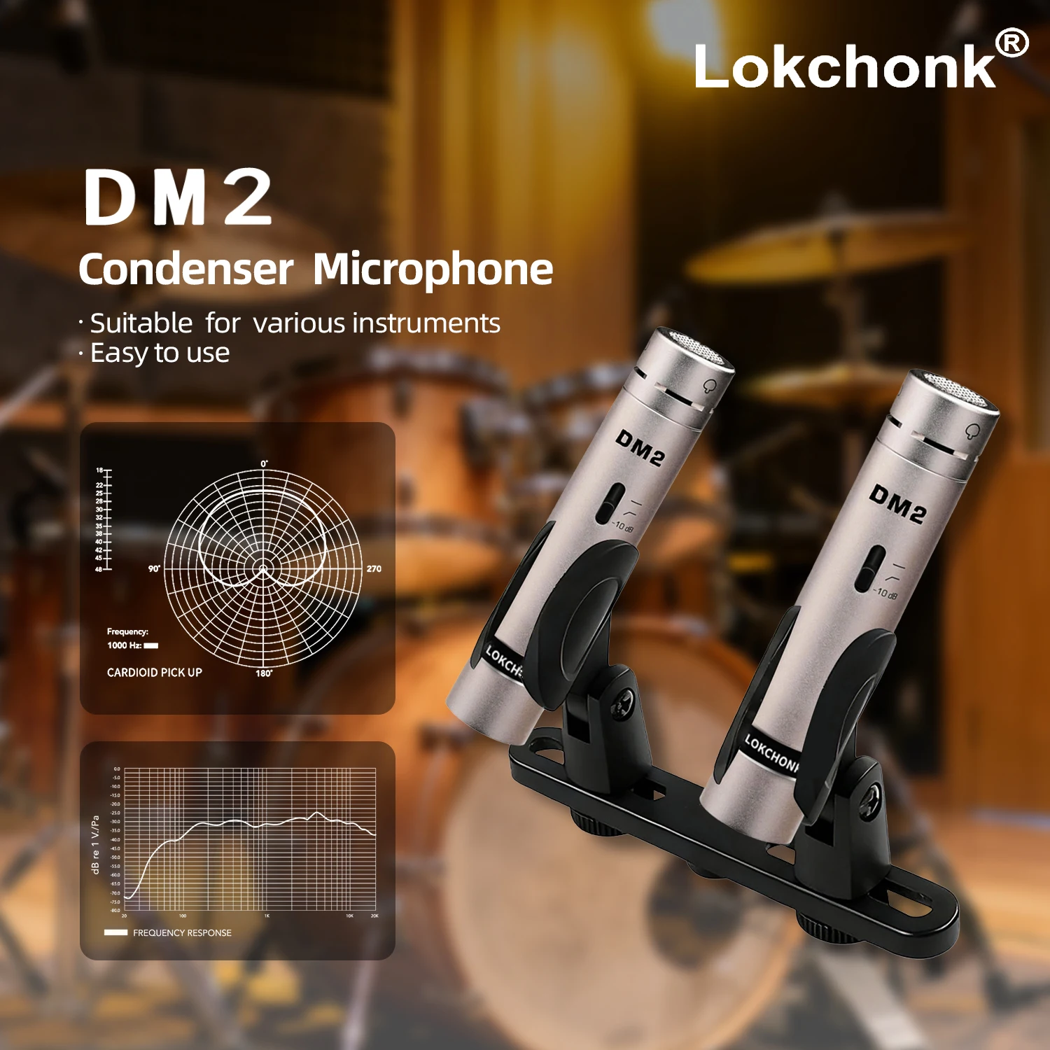 Lokchonk Overhead Condenser Microphone with Switchable Low‑Cut Filter for Studio Recording Podcasting(LK-DM2)