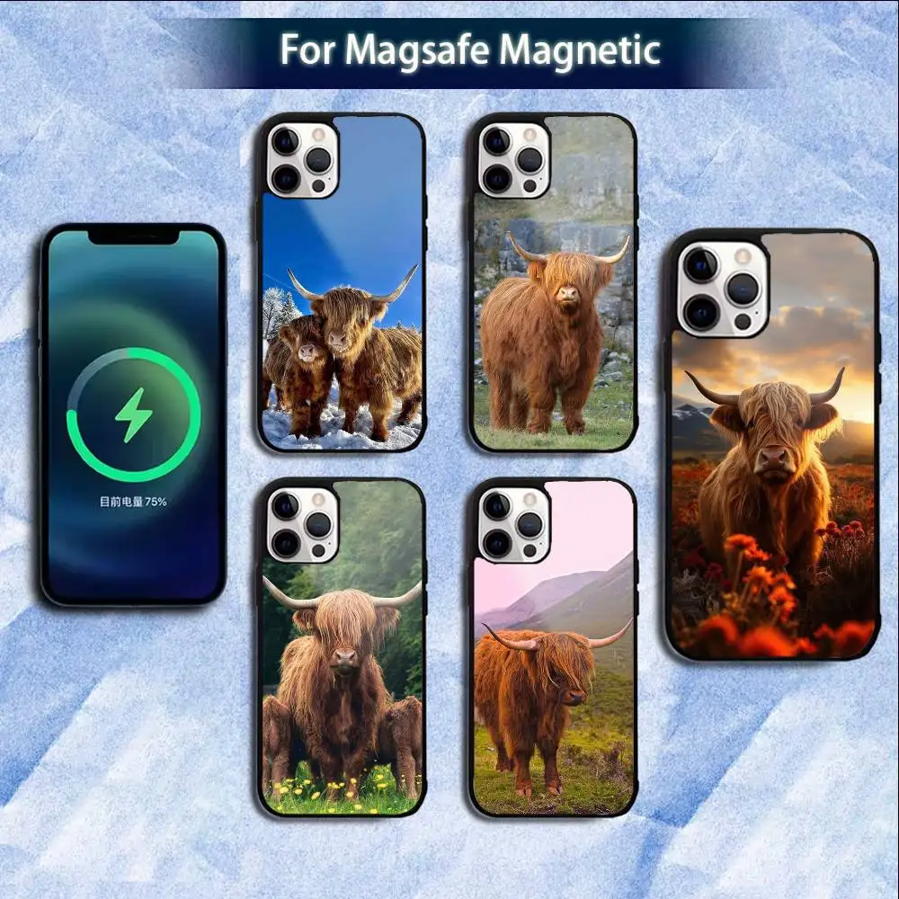 

Cute Highland Cow Phone Case For iPhone 16e,16,15,14,13,12,11,Plus,Pro,Max,Mini Magsafe Magnetic Wireless Charging