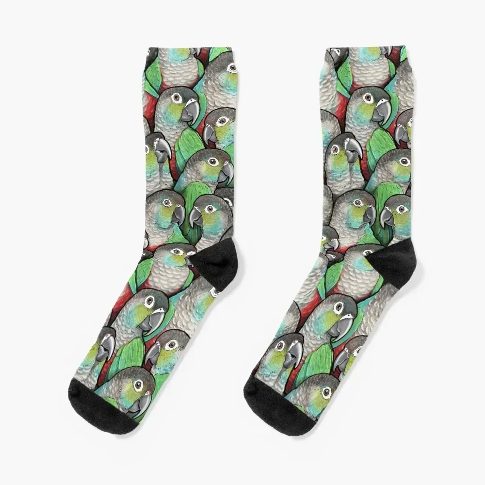 Crimson-bellied Conures Socks fashionable gifts winter men cotton high quality Ladies Socks Men's