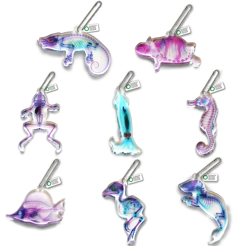 Japan Transparent Specimens IKIMON Animal Bones Acrylic Pendant Capsule Toy Collection Keychain Gift