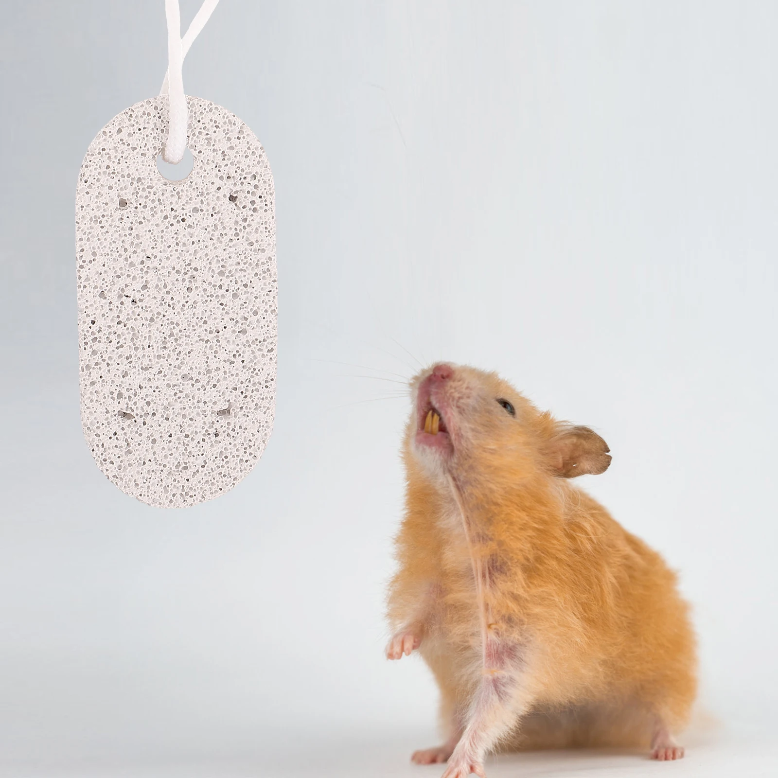 

12 pcs Mineral Stone Teeth Chew For Small Pets Natural Rabbit Hamster Parrot Grinding With Hanging Rope, Oval Cage Accessory