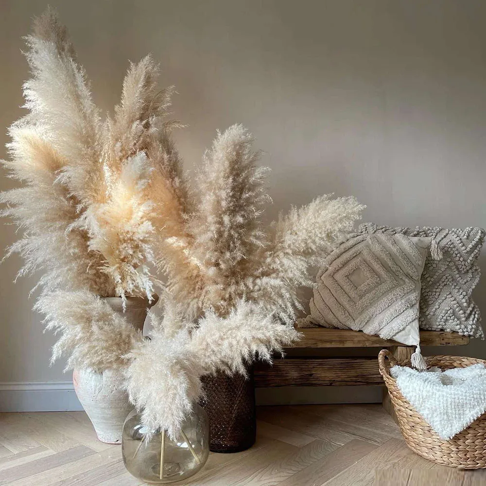 Natural Dried Real Pampas Grass Large Fluffy Tall Stems 10/30pcs for Floor Vase Living Room Bedroom Home Decor Wedding Centerpiece Bridal Bouquet Boho Rustic Farmhouse Fall Thanksgiving Decor Plumas De Pampas - view 7