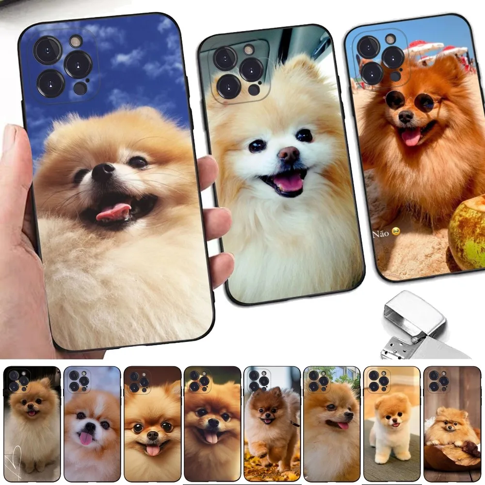 Cute Pomeranian Dogs Phone Case For iPhone 15 14 11 12 13 Mini Pro XS Max Cover 6 7 8 Plus X XR SE 2020 Funda Shell