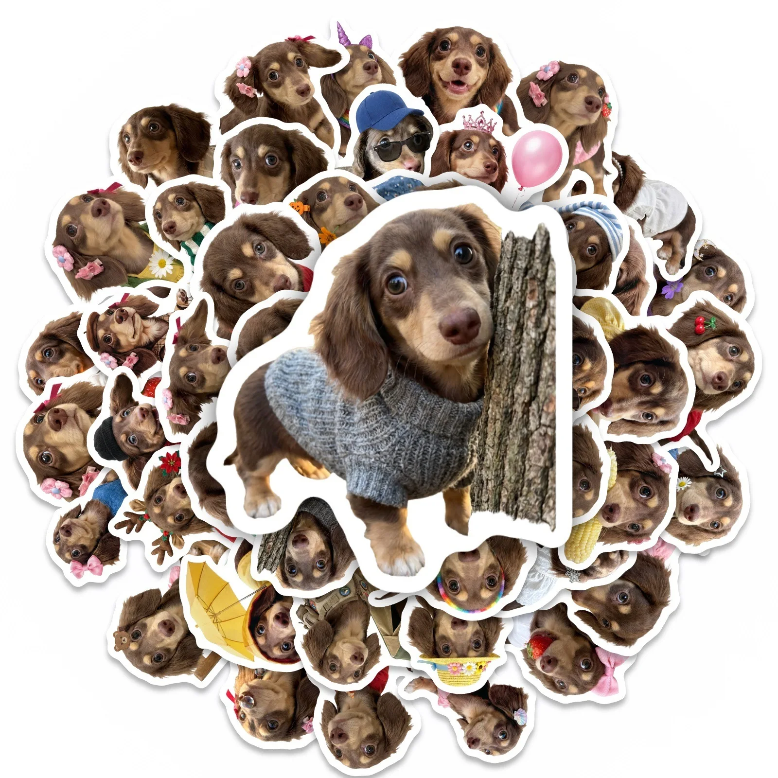 50 Pcs HD Cute Dachshund Stick - Motorcycle Gear For Dogs review and price