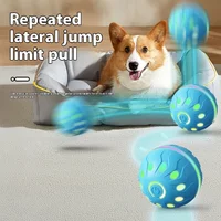 Pet Play Toy Ball, Electric Dog Ball, USB Rechargeable Dog Interactive Toy, Good Companion for Dogs 2
