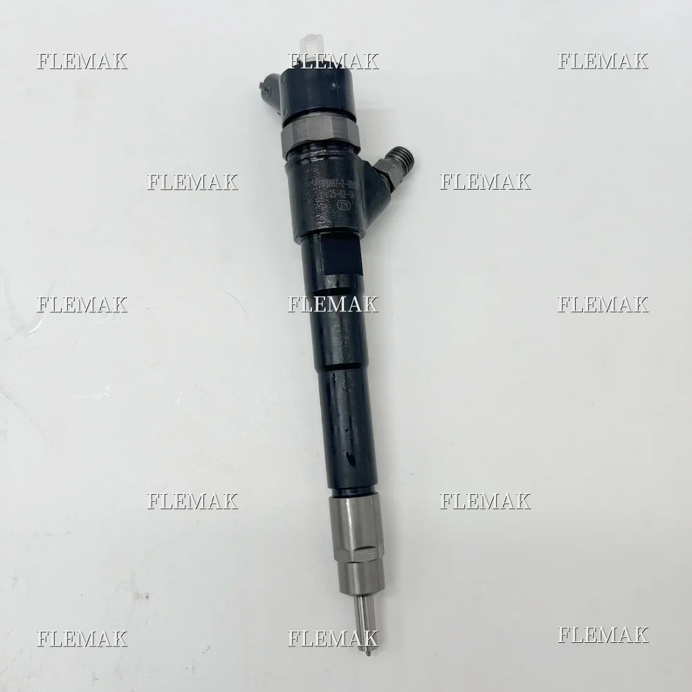 High Quality Diesel Common Rail Injector 0455110273 for Iveco