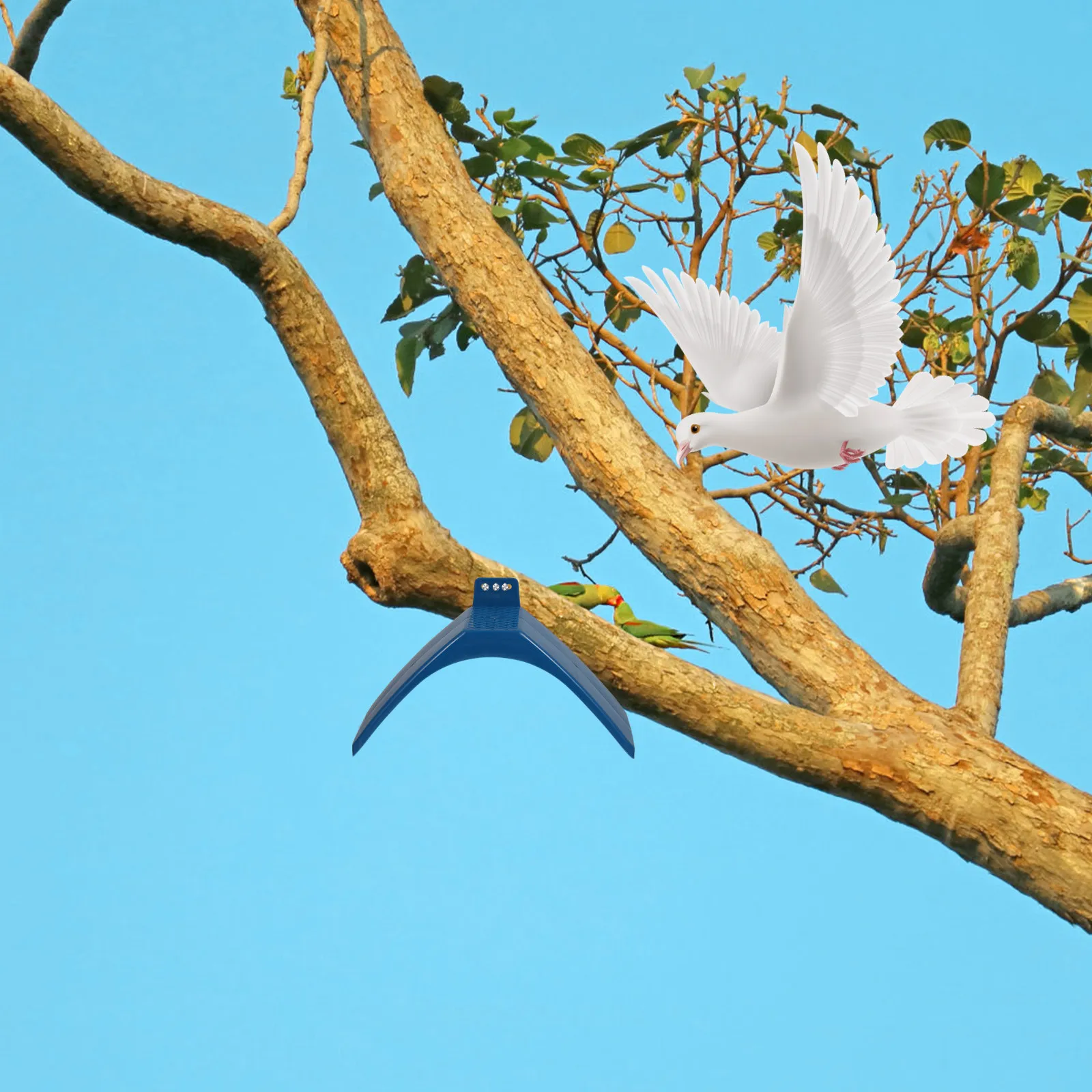 supporti-per-uccelli-dove-pali-per-piccioni-posatoi-per-gabbie