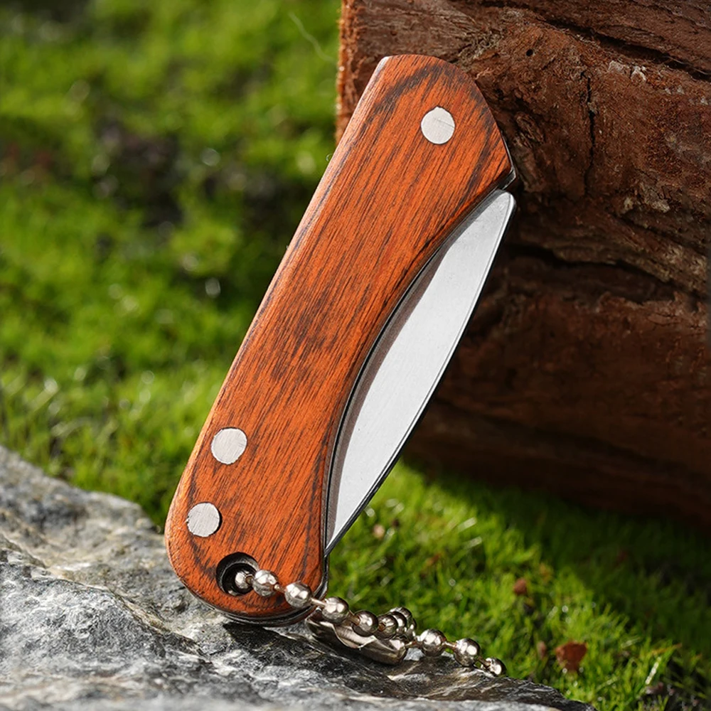 Small Keychain Pocket Knife Ev - Edc (Every Day Carry 评论和价格
