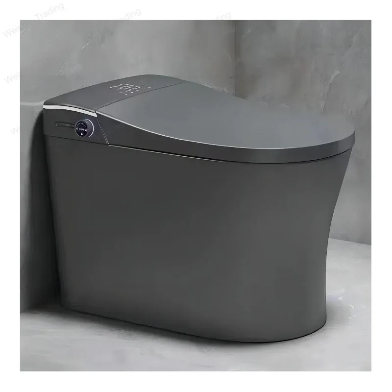 Hotel Bathroom Sanitary Wares Intelligent Grey Ceramic Toilet Bowl Automatic WC Commode Smart Toilet