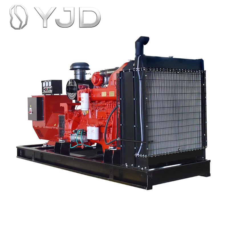 Professional Factory P12ZLD BST250GF 250kw 312.5kva Ricardo Diesel Generators Set Open Frame 380V/220V 1/3 Phase for Sale