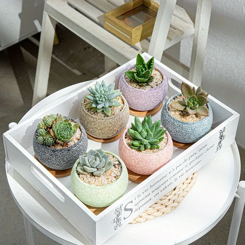 Maceta bonita para flores, maceteros suculentos creativos, macetas de cerámica para jardinería casera, maceteros para interiores y exteriores, macetas de cerámica para plantas, 1 ud.